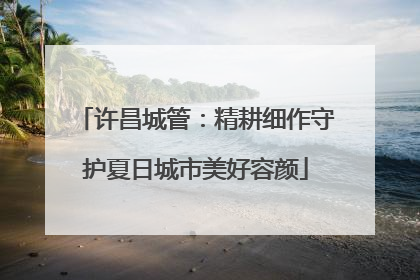 许昌城管：精耕细作守护夏日城市美好容颜