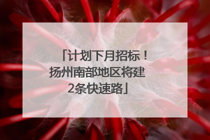 计划下月招标！扬州南部地区将建2条快速路