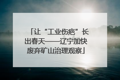 让“工业伤疤”长出春天——辽宁加快废弃矿山治理观察