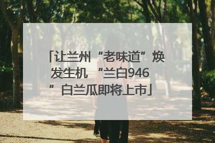 让兰州“老味道”焕发生机 “兰白946”白兰瓜即将上市