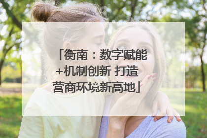 衡南：数字赋能+机制创新 打造营商环境新高地