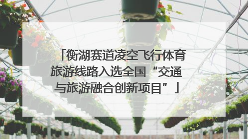 衡湖赛道凌空飞行体育旅游线路入选全国“交通与旅游融合创新项目”