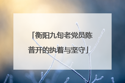衡阳九旬老党员陈普开的执着与坚守
