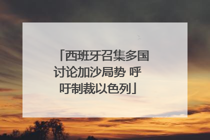西班牙召集多国讨论加沙局势 呼吁制裁以色列