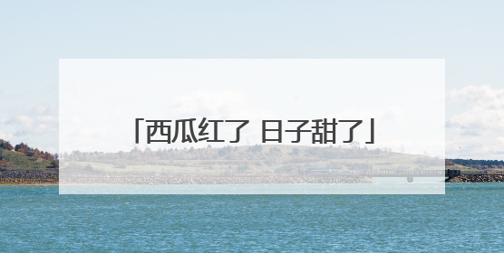 西瓜红了 日子甜了