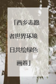 西乡志愿者世界环境日共绘绿色画卷