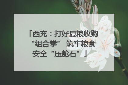 西充：打好夏粮收购“组合拳” 筑牢粮食安全“压舱石”
