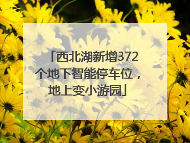 西北湖新增372个地下智能停车位，地上变小游园