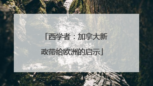 西学者：加拿大新政带给欧洲的启示