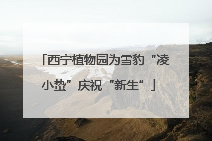 西宁植物园为雪豹“凌小蛰”庆祝“新生”