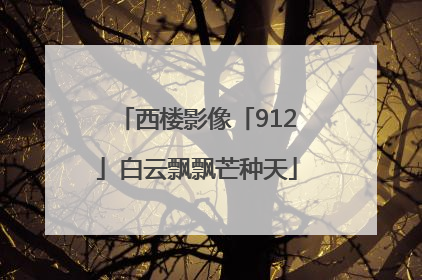 西楼影像「912」白云飘飘芒种天