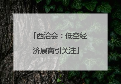 西洽会：低空经济展商引关注