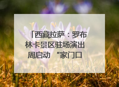 西藏拉萨：罗布林卡景区驻场演出周启动 “家门口”享文化盛宴