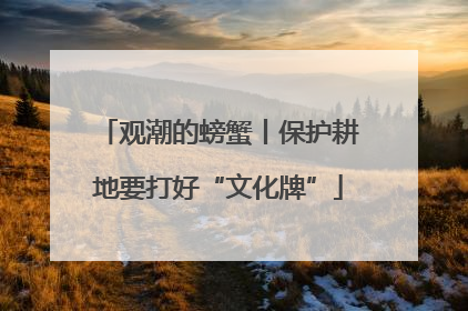 观潮的螃蟹丨保护耕地要打好“文化牌”