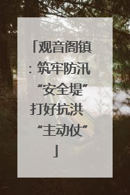 观音阁镇：筑牢防汛“安全堤” 打好抗洪“主动仗”