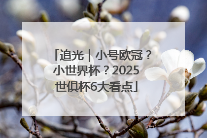 追光｜小号欧冠？小世界杯？2025世俱杯6大看点
