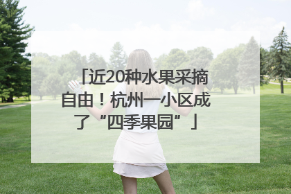 近20种水果采摘自由！杭州一小区成了“四季果园”
