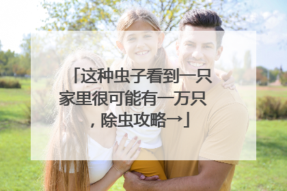 这种虫子看到一只家里很可能有一万只，除虫攻略→