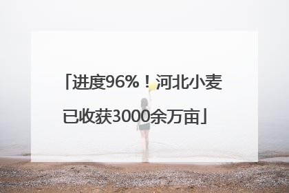 进度96%！河北小麦已收获3000余万亩