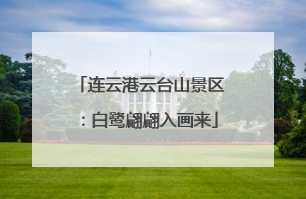 连云港云台山景区：白鹭翩翩入画来