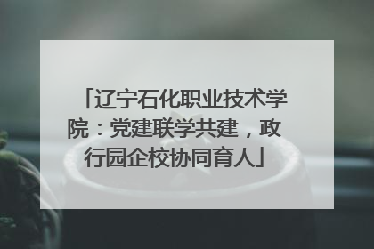 辽宁石化职业技术学院：党建联学共建，政行园企校协同育人