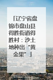 辽宁省盘锦市盘山县得胜街道得胜村：沙土地种出“黄金果”