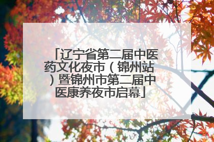 辽宁省第二届中医药文化夜市（锦州站）暨锦州市第二届中医康养夜市启幕