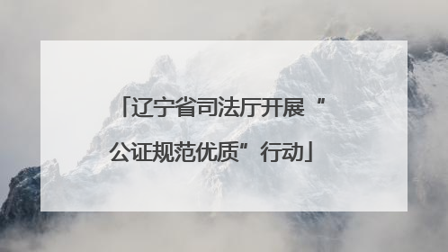 辽宁省司法厅开展“公证规范优质”行动