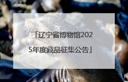 辽宁省博物馆2025年度藏品征集公告