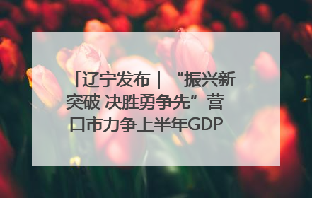 辽宁发布｜“振兴新突破 决胜勇争先”营口市力争上半年GDP增长6%左右