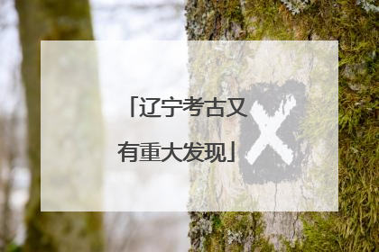 辽宁考古又有重大发现