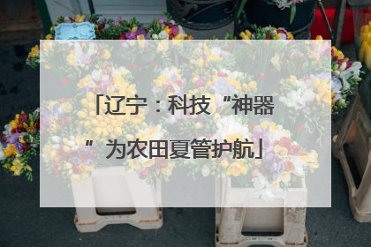 辽宁：科技“神器”为农田夏管护航