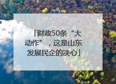 财政50条“大动作”，这是山东发展民企的决心
