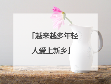 越来越多年轻人爱上新乡