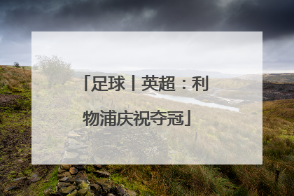 足球丨英超：利物浦庆祝夺冠
