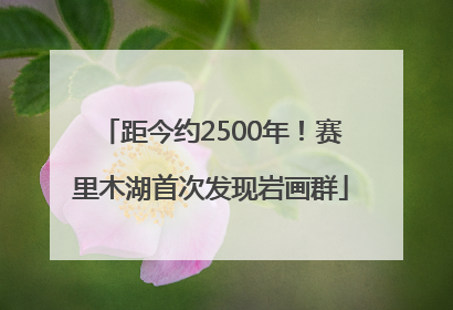 距今约2500年！赛里木湖首次发现岩画群