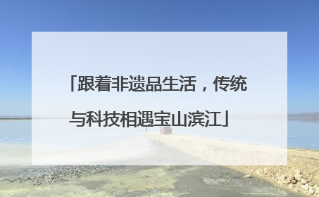 跟着非遗品生活，传统与科技相遇宝山滨江