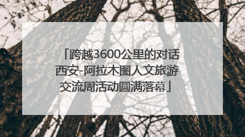 跨越3600公里的对话 西安-阿拉木图人文旅游交流周活动圆满落幕
