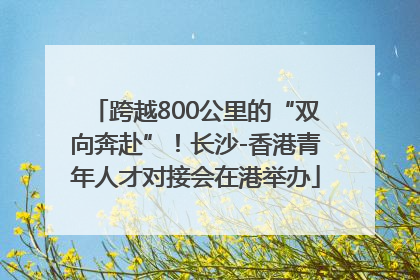 跨越800公里的“双向奔赴”！长沙-香港青年人才对接会在港举办
