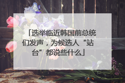 选举临近韩国前总统们发声，为候选人“站台”都说些什么