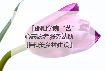 邵阳学院“艺”心志愿者服务站助推和美乡村建设