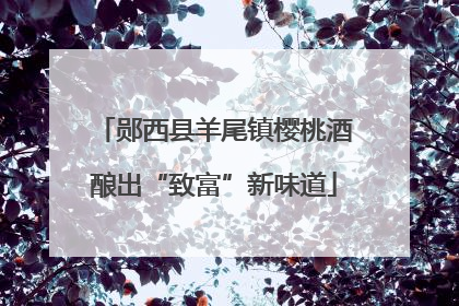 郧西县羊尾镇樱桃酒酿出“致富”新味道
