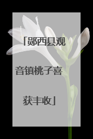 郧西县观音镇桃子喜获丰收