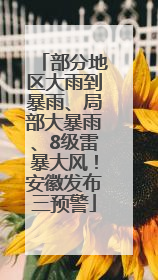 部分地区大雨到暴雨、局部大暴雨、8级雷暴大风！安徽发布三预警