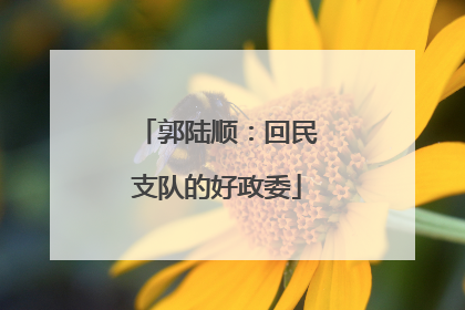 郭陆顺：回民支队的好政委