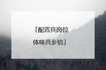配置真岗位 体味真乡情