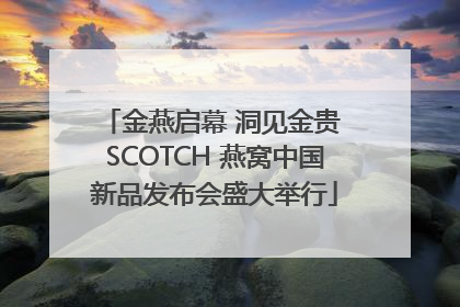 金燕启幕 洞见金贵 SCOTCH 燕窝中国新品发布会盛大举行