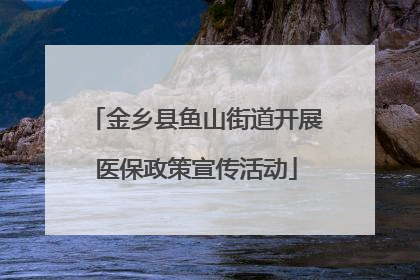 金乡县鱼山街道开展医保政策宣传活动