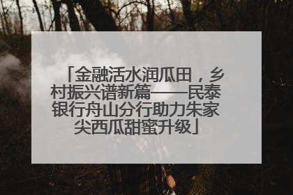 金融活水润瓜田，乡村振兴谱新篇——民泰银行舟山分行助力朱家尖西瓜甜蜜升级