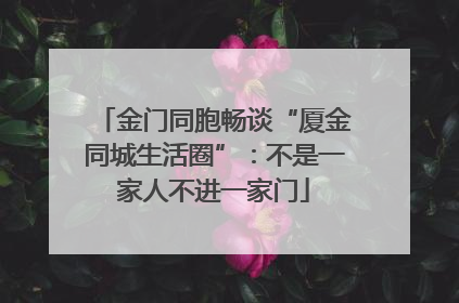 金门同胞畅谈“厦金同城生活圈”：不是一家人不进一家门